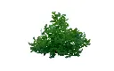 2025-04-15 18 15 15.webp
