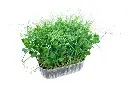 2025-04-15 17 46 41.webp