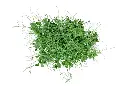 2025-04-15 17 46 23.webp