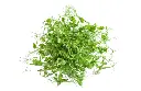 2025-04-15 17 45 52.webp
